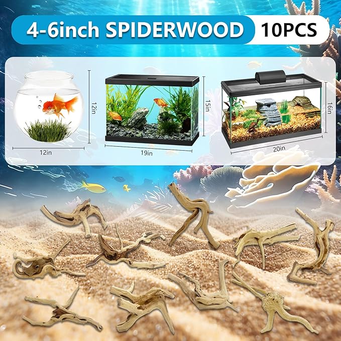 10 Pcs Natural Small Spiderwood for Aquarium, Aquarium Driftwood Freshwater 4-6 Inch, Assorted Size Spider Wood, Twisted Branches for Fishtank Accessories, Reptile Terrariums Decorations