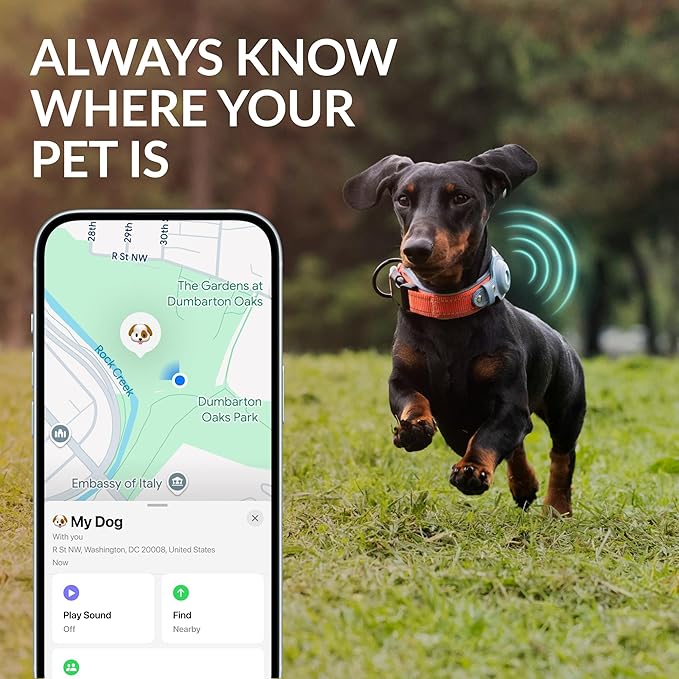 Airtag Dog Collar, CollarDirect, Reflective Dog Collar for Apple Air Tag for Large, Medium, and Small Dogs, Green, XL