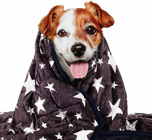 LaSyL Blanket for Pets | Thunder Blanket for Dogs Anxiety | Premium Soft Minky | Relaxation & Calming & Anti Anxiety | Blue Grey Star, Washable Medium 32" L x 40" W