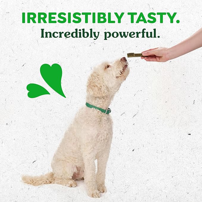 Greenies Regular Dental Dog Treats, Pumpkin Spice, Limited Edition, 12 oz. Pack (12 Treats)