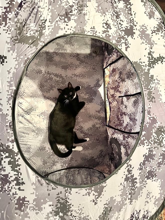 3-Piece Mesh & Nylon Cat/Dog Tent Set, Tunnel Connects Two Houses, Digital Camo Gray, Carrying Case (Green Digital camo)