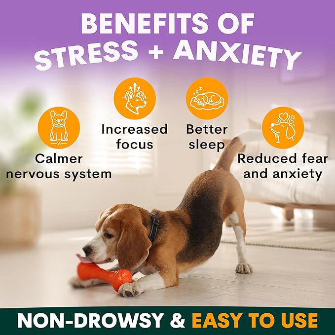 Stress and Anxiety Supplement for Dogs - Calming Dog Powder Supplement - Decreases Stress, Calms Fear & Anxiety, Eases Aggression & Insomnia, Relaxes Body and Mind - Beef Flavour - 3.2oz - 45 Scoops