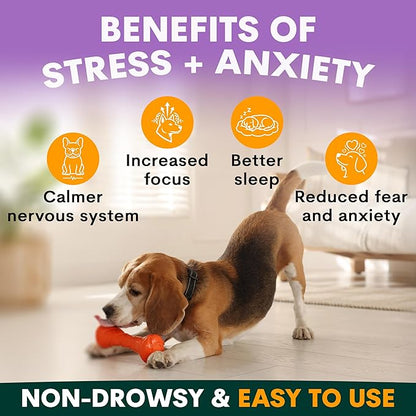 Stress and Anxiety Supplement for Dogs - Calming Dog Powder Supplement - Decreases Stress, Calms Fear & Anxiety, Eases Aggression & Insomnia, Relaxes Body and Mind - Beef Flavour - 6.4oz - 90 Scoops