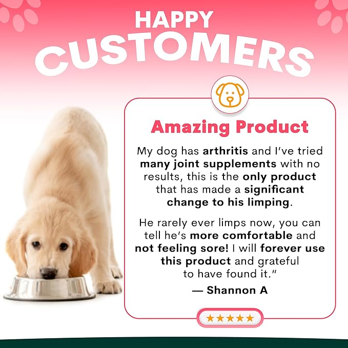 Petz Park Glucosamine for Dogs - Hip & Joint Support Powder with Chondroitin & MSM - Arthritis Pain Relief, Hip Dysplasia Treatment - 800mg Glucosamine - 90 Scoops