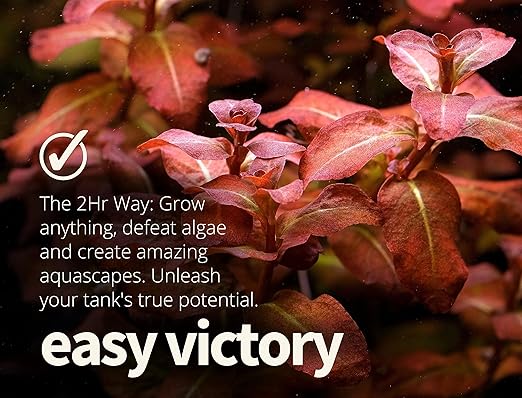 2HR Aquarist All-in-one Aquarium Plant Fertilizers APT 3 / Complete (600ml)