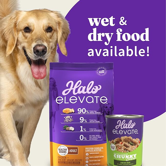 HALO Elevate Dry Dog Food, Healthy Grains Chicken Recipe, 3.5lb