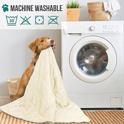 PetAmi Premium Cooling Dog Blanket | Lightweight Fluffy Pet Throw Blanket Bed Cover for Dogs, Cat, Puppies | Pet Blanket Furniture Protector Couch Sofa | Reversible Fuzzy Cozy | 90x90, Beige Latte