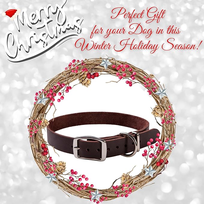 ADITYNA - Leather Dog Collar for Medium Dogs - Classic Style, Soft and Strong, Heavy Duty, Top-Grain Leather, Handmade - for Walking, Training, Hiking, and Running (M - Neck: 15-20 inches, Brown)