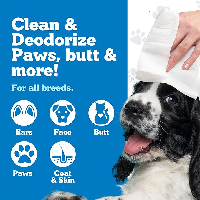 Pets XL Hypoallergenic Pet Wipes - Deodorizing No Bath Cleaning for Dogs & Puppy Grooming | Ear, Face, Butt, Paw Wet Wipe | Enriched w/Aloe, Chamomile, Oat Amino Acids | Healthier Coat & Skin