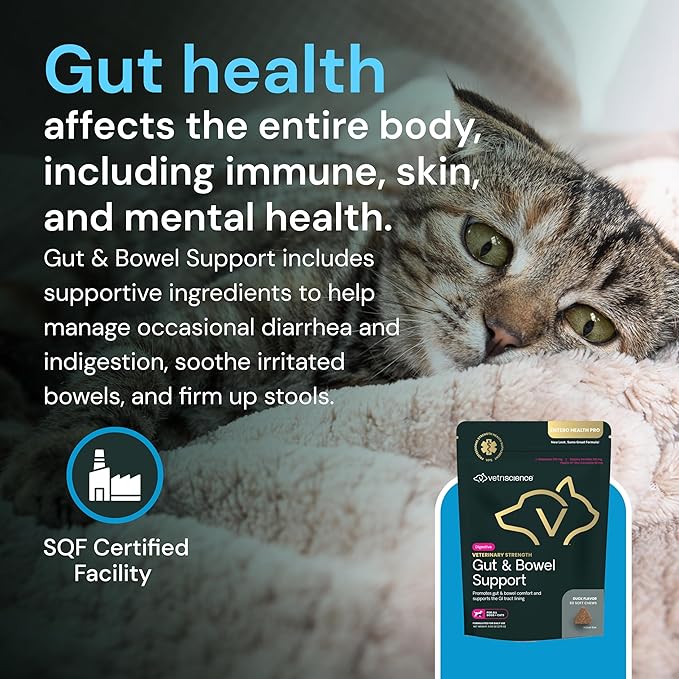 VETRISCIENCE Veterinary Strength Gut & Bowel Support for Dogs & Cats - Pet Digestive Health Supplement - Gut Health Formula - Intestinal Support - Duck Flavor - 60 Count