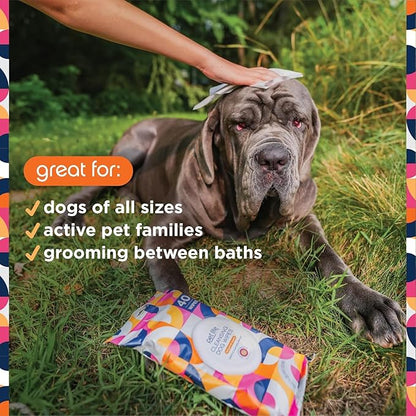 Pet Life Unlimited Dog Spray Shampoo & Cleansing Dog Wipes, Bergamot Apple (40 ct) Bundle - Dog Shampoo and Conditioner Foaming 2-in-1 Spray - Dog Grooming Wipes for Cleansing & Deodorizing Pet Wipes