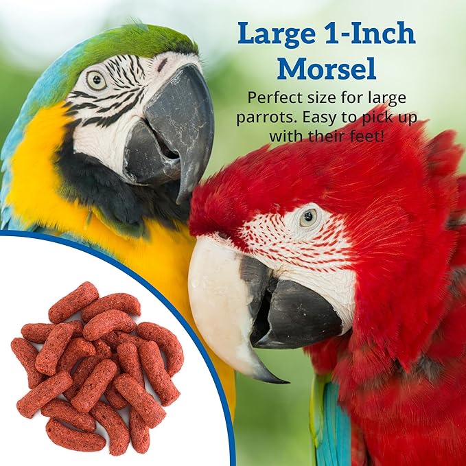 Scenic Apple Jungle Premium Parrot Food, Apple, Natural Flavors, High Protein, Low Iron Bird Pellets for Large Parrots, Macaw Food, Cockatoo, African Grey Parrots, Omega 3, Vitamins, 2lb (Pack of 2)