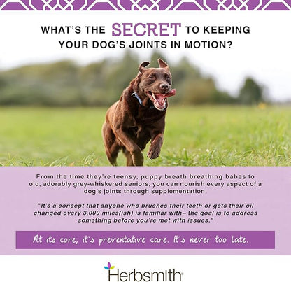 Herbsmith Sound Dog Viscosity  Advanced Joint Support for Dogs  Veterinarian Recommended Glucosamine for Dogs, Hyaluronic Acid, Chondroitin, MSM  150g Powder