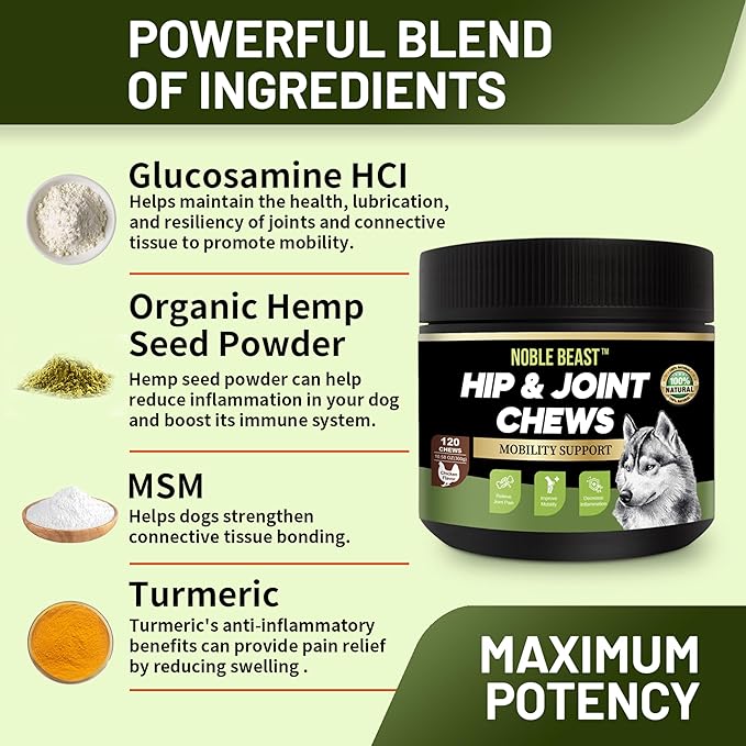 Noble Beast Dog Joint Supplement - Hip and Joint Care for Dogs - All Natural - Soft Chews with Glucosamine, Chondroitin, MSM & Hemp for Dog Joint Relief - Chicken Flavor  120 Count