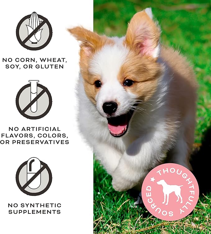 Primal Freeze Dried Dog Treats; Pork & Maple Dog Treats with Goat Milk for Dogs, You Maple My Day, Grain Free Training Treats for Dogs with Probiotics, 2 oz (Pack of 2)