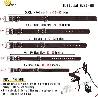 ADITYNA Big Leather Dog Collar - XXL Dog Collar for Giant Breeds Such as Mastiff (Giant: Fit 30" - 36" Neck, Brown)