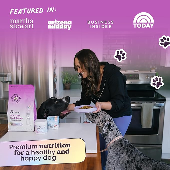 Bundle x Joy Brave Probiotic Dog Food Dry, Lamb, 4lb Bag, Allergy and Gut-Friendly Adult Kibble for Digestive Health with Grass-Fed Lamb, 20 Plant Based Superfoods, Poultry and Grain Free