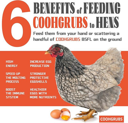 Dried Black Soldier Fly Larvae 5 lb - Non-GMO High-Calcium Worms for Chickens, Ducks & Wild Birds