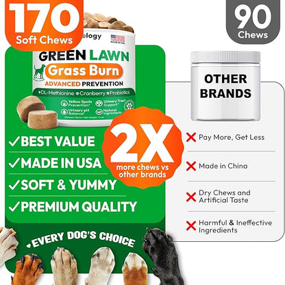 Dog Urine Neutralizer for Lawn - 170 Green Lawn Chews for Dogs - Pee Grass Burn Spot Saver Caused by Dog Urine with Probiotics & Digestive Enzymes - Advanced Gut Health Supplement, Rocks
