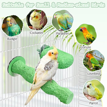 PINVNBY 5 Pack Bird Perch Resin Bird Beak Grinding Stone Parrot Cage Stand Platform Foot Claws Trimmer Chew Toy Cage Accessories for Budgie Cockatiel Conure Lovebird Finch (Green)