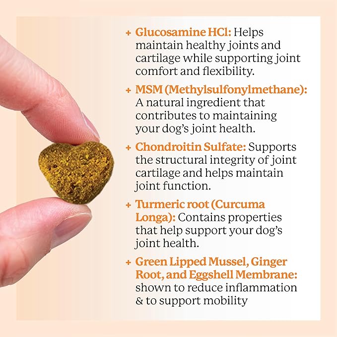 Dr. Harvey's Hip & Joint Soft Chews for Dogs, Daily Mobility Supplement Chewable Bites for Dogs with Glucosamine, Chondroitin & MSM, Green Lipped Mussel, Chicken Flavor (90 Chews)