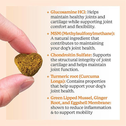 Dr. Harvey's Hip & Joint Soft Chews for Dogs, Daily Mobility Supplement Chewable Bites for Dogs with Glucosamine, Chondroitin & MSM, Green Lipped Mussel, Chicken Flavor (90 Chews)