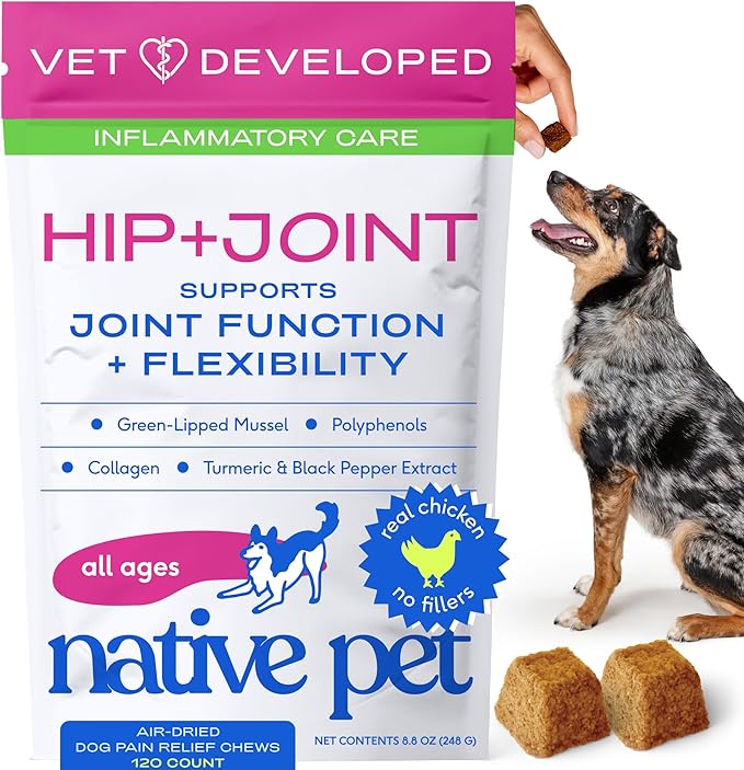Native Pet Pain Relief for Dogs - Collagen for Dogs Promotes Joint Health, Reduce Inflammation & Stiffness - Senior Pup Joint Supplement - Natural Pain Reliever for Active & Aging Pets - 120 Chews