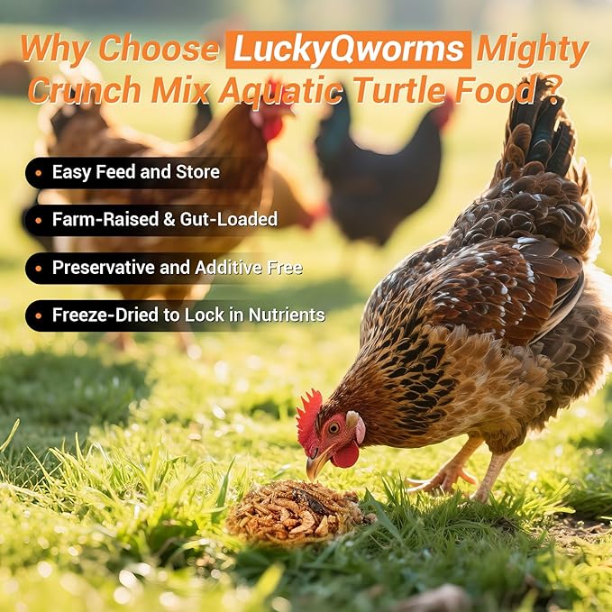 Mighty Crunch Mix Aquatic Turtle Food - 1 Lbs Resealable Bag of High Protein Insect Blend, Dried Mealworms, River Shrimp, Crickets - for Turtles, Reptiles & Amphibians, Chicken, Birds