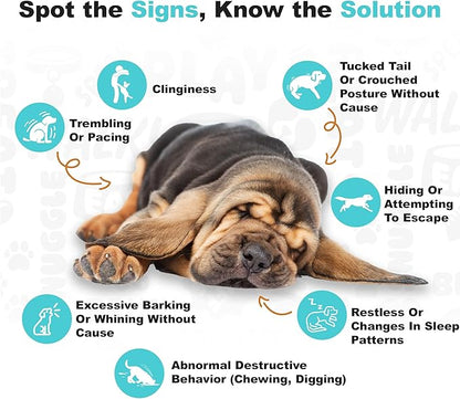 Doggie Dailies Calming Chews, Melatonin & Chamomile for Stress Relief, Relaxation & Anxiety (Peanut Butter, 225 Soft Chews)