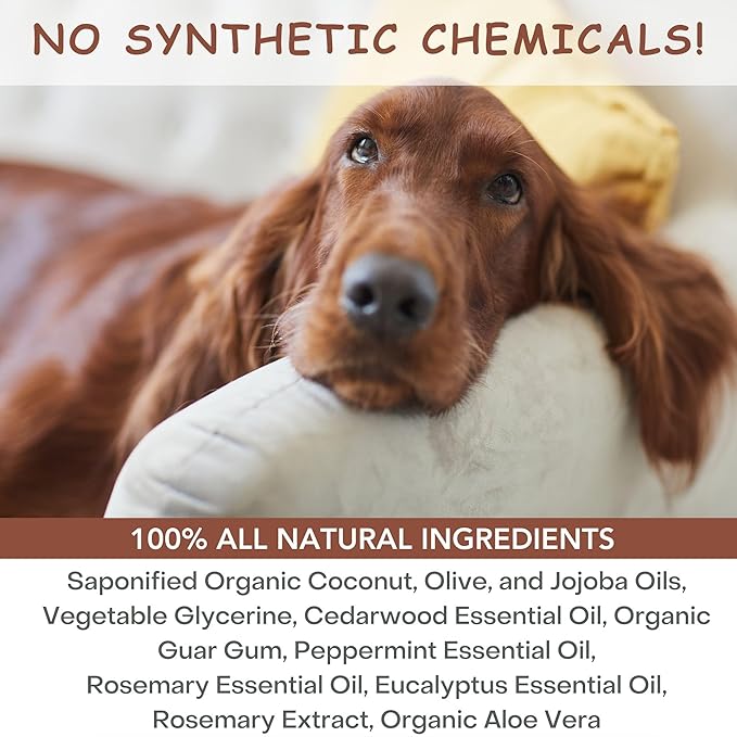 Organic Dog Shampoo and Conditioner USDA Certified - All Natural Concentrated Cedar Dog Shampoo with Peppermint, and Eucalyptus - Dog Shampoo for Itchy Skin - Dog Shampoo for Smelly Dogs 16 oz