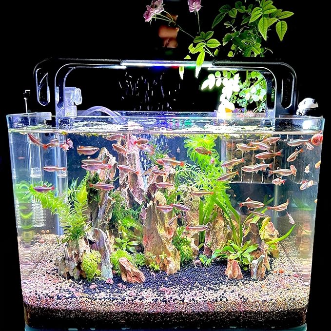 Dragon Stone Aquarium Scenic Stone Natural Porous Stone 2-10 Inch for Freshwater Tanks, Water Pours, Fish Tank Decoration (20lbs)