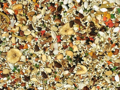 Volkman Avian Science Super African Gray Parrot Food with Foot Toys for Large Birds, Bird Food African Grey Parrot Treats with Foot Roller - 4 Lbs. (1Toy, Toys May Vary)