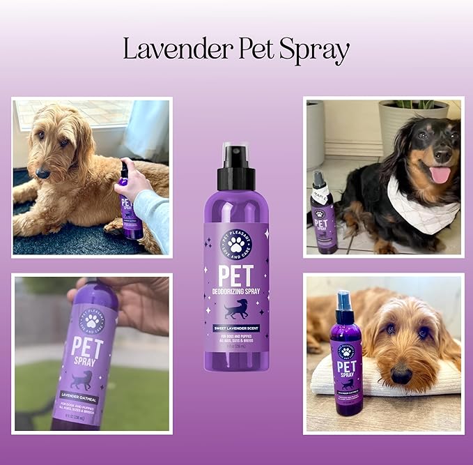 Lavender Oil Dog Deodorizing Spray - Dog Spray for Smelly Dogs and Puppies and Dog Calming Spray with Lavender Essential Oil - Lightly Scented Dog Deodorizer for Smelly Dogs and Dog Essentials