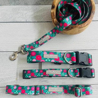 Lucky Love Dog Collars, Stripes Pattern Dog Collar for Medium Dogs, Comfortable & Soft Cute Girl or Boy Dog Collar, Penny, Medium