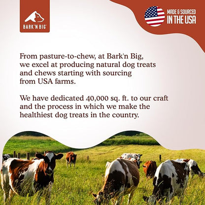 BARK'N BIG Bison Dog Treats - Single Ingredient Lung Dog Treats - Made & Sourced in USA - Dehydrated Bison, High Protein, Low Fat, Easily Digestible for Dogs with Sensitive Stomachs - 5 oz