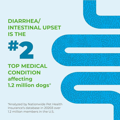 Vetnique Glandex Daily Probiotics for Dogs with Prebiotics to Support Gut Health with Fiber and Digestive Enzymes, Probiotic Chews or Powders (120ct Chews, Bacon Chews)