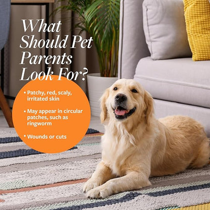 Veterinary Formula Clinical Care Antiseptic and Antifungal Medicated Shampoo for Dogs & Cats, 128 Fl Oz – Helps Alleviate Scaly, Greasy, red Skin – Paraben, Dye, Soap-Free (1 Pack)