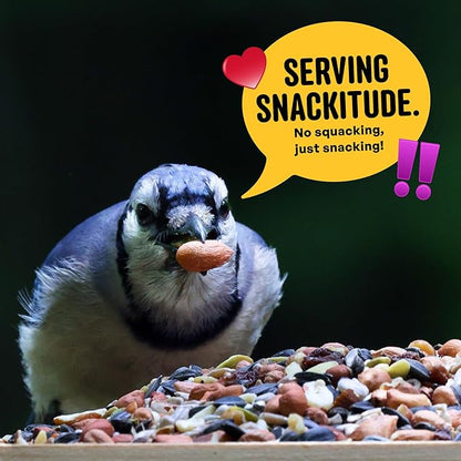 Nut & Fruit Wild Bird Seed  10 lb. Gourmet Bird Food with Sunflower Hearts, Peanuts, Tree Nuts & Real Fruit  No Corn, Milo or Millet Bird Seed for Outside Feeders