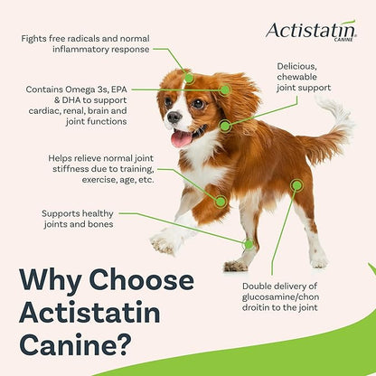 Actistatin Canine Small Dog Soft Chews, 120ct  Patented Extra-Strength Joint, Cartilage, Soft Tissue Supplement: Glucosamine, Chondroitin, Manganese, MSM, L-Carnitine  High Absorption, Fast Results