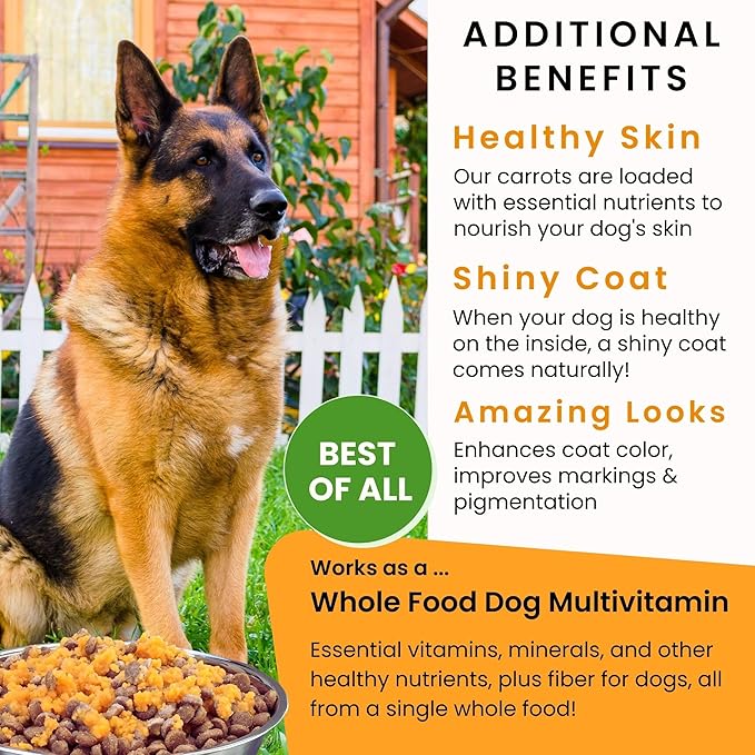 Olewo Original Carrots for Dogs – Fiber for Dogs Keep Poop Firm, Digestive Dog Food Topper, Skin & Coat Support, Dehydrated Whole Food Dog Multivitamin, Gut Health for Dogs, 2.2 lbs