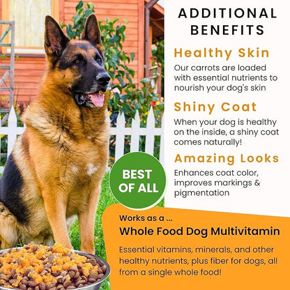 Olewo Original Carrots for Dogs – Fiber for Dogs Keep Poop Firm, Digestive Dog Food Topper, Skin & Coat Support, Dehydrated Whole Food Dog Multivitamin, Gut Health for Dogs, 2.2 lbs