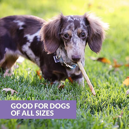 Real Duck Collagen Sticks for Dogs (25 Pack,5 Inch) Long Lasting Dog Chews No Hide Dog Treat Bully Stick Rawhide Free,Grain Free,High Protein