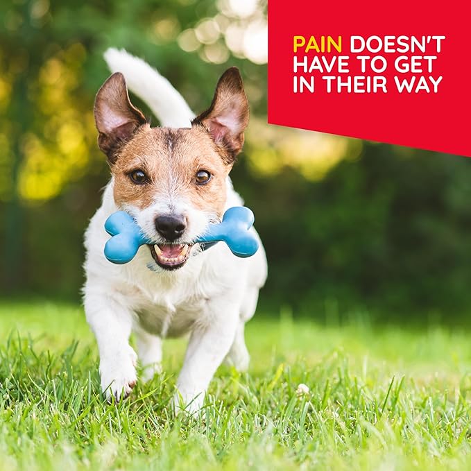 T-Relief Pet Pain Oral Drops Arnica +12 Powerful Natural Medicines for Muscle Joint & Hip Pain Soreness Stiffness Injuries in Dogs & Cats - Fast-Acting Soother - 1.69 oz (2 Pack)