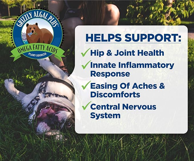 Grizzly Pet ProductsAlgal Plus Omega 3-6-9 Food Supplement for Dogs and Cats, 16 Ounce Bottle