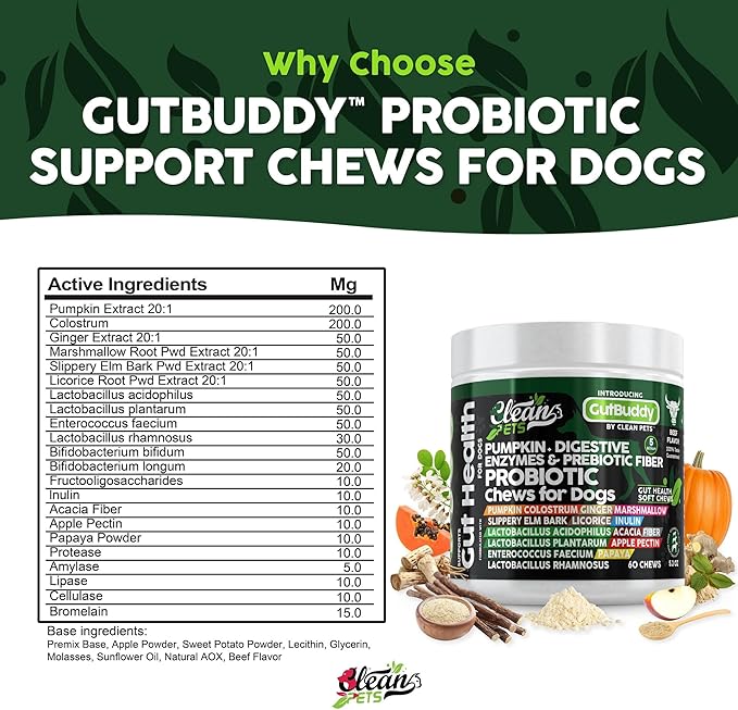Probiotics for Dogs with Pumpkin, Colostrum, Digestive Enzymes, Ginger, Slippery Elm, Licorice, Inulin Fiber & More | Beef Flavor Soft Chews for Gut Health and Digestion Dog Supplement