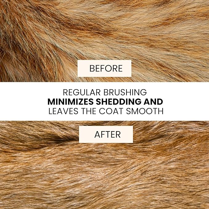 Premium Double-Sided Pin & Bristle Dog Brush (Small Size, Black) with Ergonomic Grip | Detangling, Shedding & Undercoat Rake for Short & Long Hair Dogs & Cats | Cat Grooming Brush