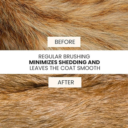 Premium Double-Sided Pin & Bristle Dog Brush (Small Size, Black) with Ergonomic Grip | Detangling, Shedding & Undercoat Rake for Short & Long Hair Dogs & Cats | Cat Grooming Brush