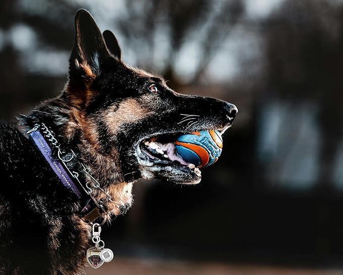 Dog Tags Personalized QR Code Dog Tags, Retro Brass Personalized Pet ID Tags Modifiable Pet Online Profile, (German Shepherd-1)