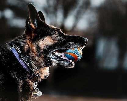 Dog Tags Personalized QR Code Dog Tags, Retro Brass Personalized Pet ID Tags Modifiable Pet Online Profile, (German Shepherd-1)