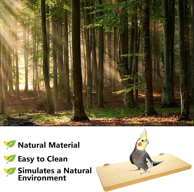 4 Pack 5 x 12 Inches Bird Perches - Natural Wooden Flat Bird Perch - Rectangle Bird Perch Stand Platform for Parrot, Budgies, Parakeet, Cockatiels, Conure, Lovebirds